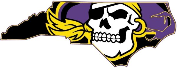 East Carolina Pirates 2004-2013 Alternate Logo diy DTF decal sticker